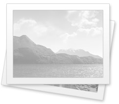 نقش حیاتی کلات ریزمغذی مایا رشد در خاک: راهنمای کاربرد و مزایای کود FMZ برای بهبود وضعیت گیاه